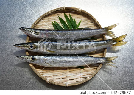 梭魚，味道清淡細膩 142279677