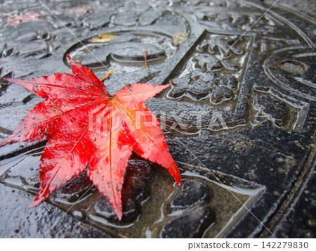 Manholes and maple leaves in Karuizawa Manholes and maple leaves in Karuizawa 142279830