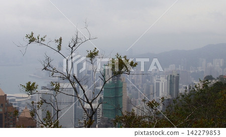 Foggy cityscape view of Hong Kong with skyscrapers and trees in the foreground during the winter 142279853