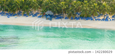Aerial view of an amazing caribbean beach and luxury resort in La Romana 142280029