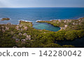 Aerial view of beach with a stunning cliff overlooking the Caribbean Sea 142280042