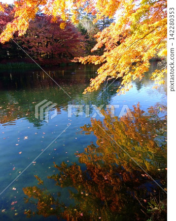 Karuizawa, autumn leaves of Kumba pond Karuizawa, autumn leaves of Kumba pond 142280353