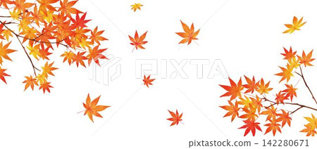 White background autumn background material frame of fashionable vector of beautiful autumn leaves with red autumn leaves White background autumn background material frame of fashionable vector of beautiful autumn leaves with red autumn leaves 142280671