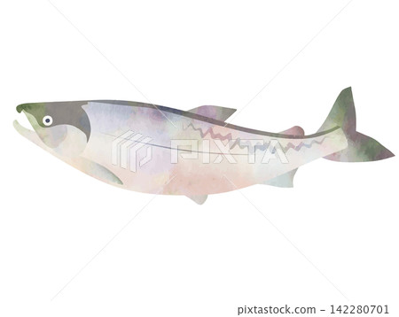 水彩風格的鮭魚向量插圖(彩色) 水彩風格的鮭魚向量插圖(彩色) 142280701