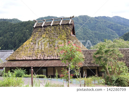 Fresh green scenery of the thatched-roof village in Miyama, Kyoto Prefecture Fresh green scenery of the thatched-roof village in Miyama, Kyoto Prefecture 142280709