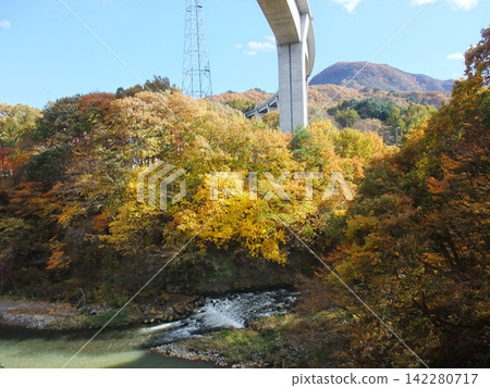 高架橋在秋葉和藍天的襯托下顯得格外醒目。 142280717