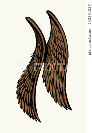 Vector drawing. Two large wings. Vector drawing. Two large wings. 142281227