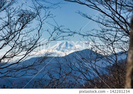 從雲取山徒步之旅中看到的景色 從雲取山徒步之旅中看到的景色 142281234