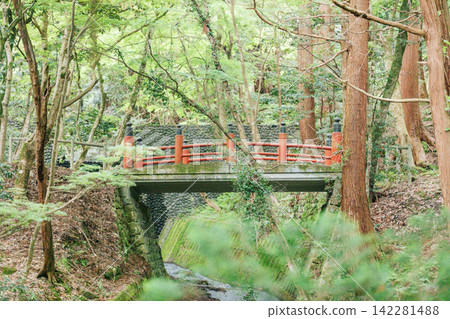 [滋賀縣東近江市]極樂橋、百濟寺 142281488