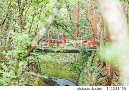 [滋賀縣東近江市]極樂橋、百濟寺 142281489