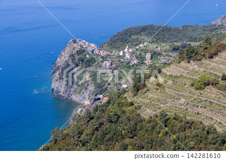 Vineyard at Corniglia, Liguria, Italy from elevated telephoto perspective Vineyard at Corniglia, Liguria, Italy from elevated telephoto perspective 142281610