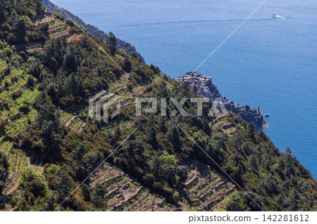 Manarola on the Ligurian shoreline in Italy from high telephoto trail perspective Manarola on the Ligurian shoreline in Italy from high telephoto trail perspective 142281612