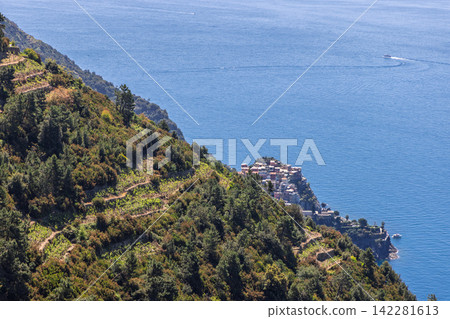 Manarola in Italy, including vineyard terraces leading toward the distant settlement 142281613