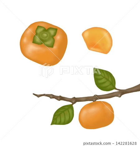 Persimmon illustration set: whole, sliced, and with stems - a taste of autumn. Persimmon illustration set: whole, sliced, and with stems - a taste of autumn. 142281628