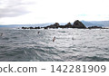 風景名勝區，三石 142281909