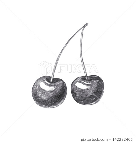 Two ripe cherry berries with stems. Hand drawn black charcoal organic fruit illustration isolated on. Realistic detailed monochrome sketch for botanical craft packaging decor 142282405