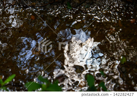 雨後水坑上反射的陽光。 雨後水坑上反射的陽光。 142282427