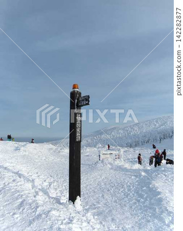 Rime on trees, hoarfrost, Zao, Jizo summit Rime on trees, hoarfrost, Zao, Jizo summit 142282877