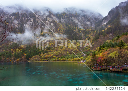 Autumn colorful forest and lake with mist at Jiuzhaigou, Sichuan, China Autumn colorful forest and lake with mist at Jiuzhaigou, Sichuan, China 142283124