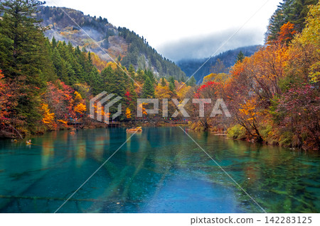 Clear lake with autumn forest reflection, Jiuzhaigou Aba Sichuan, China Clear lake with autumn forest reflection, Jiuzhaigou Aba Sichuan, China 142283125