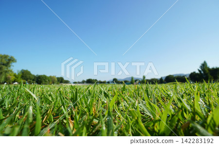 A wide-angle view of a large park with a clear blue sky and beautiful green lawns. A wide-angle view of a large park with a clear blue sky and beautiful green lawns. 142283192