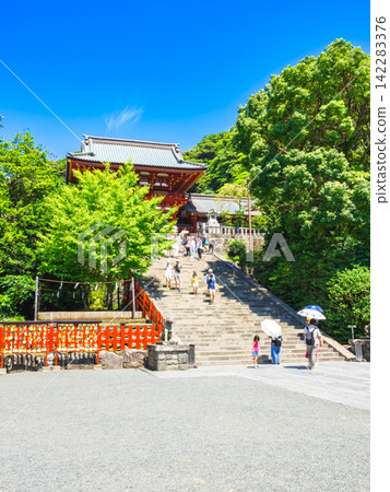 鎌倉之夏:鶴岡八幡宮、大石階與正殿 鎌倉之夏:鶴岡八幡宮、大石階與正殿 142283376