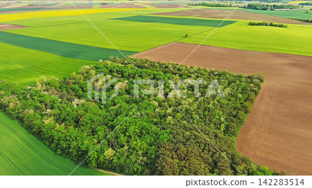 Aerial view of green wheat field on hills 142283514