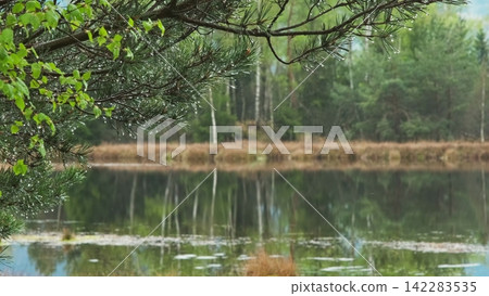 Bog lake landscape with forest under sky with clouds Bog lake landscape with forest under sky with clouds 142283535