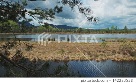 Bog lake landscape with forest under sky with clouds Bog lake landscape with forest under sky with clouds 142283538