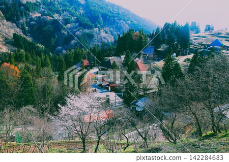 Cherry blossoms in the countryside and the scenery of Shinshu Cherry blossoms in the countryside and the scenery of Shinshu 142284683