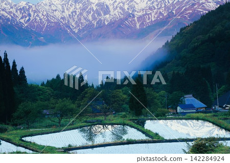 梯田倒映著阿爾卑斯山的景色 梯田倒映著阿爾卑斯山的景色 142284924
