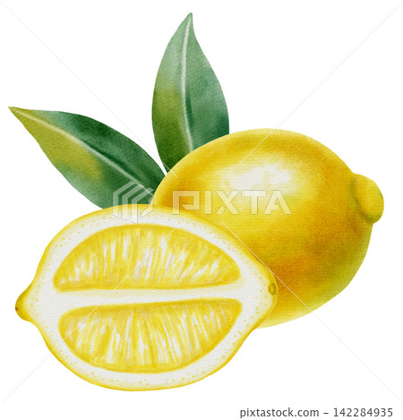 Watercolor lemon compositions with whole fruits, slices and green leaves. Hand drawn botanical illustration isolated on white. Perfect for fabric, wallpaper, packaging, and kitchen decor, cafe menu Watercolor lemon compositions with whole fruits, slices and green leaves. Hand drawn botanical illustration isolated on white. Perfect for fabric, wallpaper, packaging, and kitchen decor, cafe menu 142284935