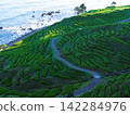 Distant view of the Shirayone Senmaida rice terraces 142284976