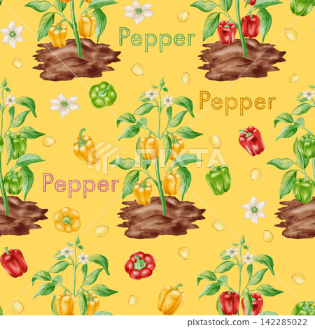 Watercolor seamless pattern featuring bell pepper plants growing in soil, seeds, and blossoms. Hand-drawn gardening and agriculture background for kitchen textiles, cookbooks, and packaging Watercolor seamless pattern featuring bell pepper plants growing in soil, seeds, and blossoms. Hand-drawn gardening and agriculture background for kitchen textiles, cookbooks, and packaging 142285022