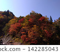 在秋葉弄髒的山 142285043