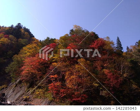 在秋葉弄髒的山 在秋葉弄髒的山 142285043