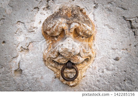 Antique Horse Hitching Ring with Carved Stone Lion Head Antique Horse Hitching Ring with Carved Stone Lion Head 142285156