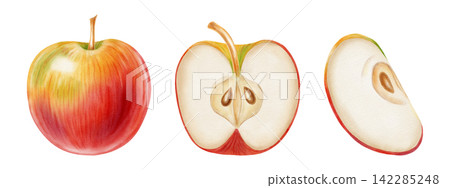 Set of watercolor illustrations depicting three red and yellow apples, shown from different angles, on a white background. Perfect for product logo, market posters, food packaging, textile patterns Set of watercolor illustrations depicting three red and yellow apples, shown from different angles, on a white background. Perfect for product logo, market posters, food packaging, textile patterns 142285248