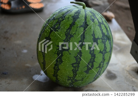 Two large, ripe watermelons Two large, ripe watermelons 142285299