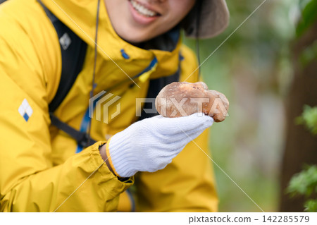 採蘑菇、健行、手持 142285579