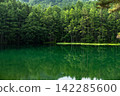 Fresh greenery at Mishaka Pond 142285600