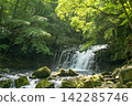 Tateshina Otaki 142285746