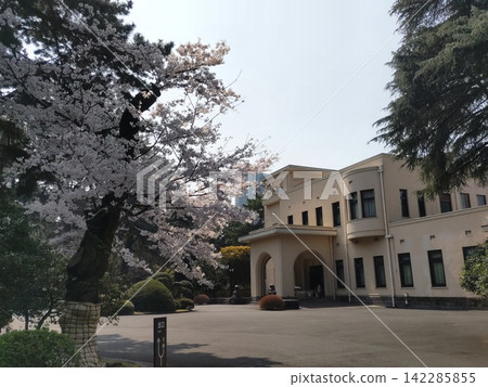 Cherry blossoms and the Tokyo Metropolitan Teien Art Museum Cherry blossoms and the Tokyo Metropolitan Teien Art Museum 142285855