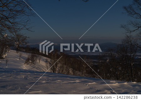 白雪皚皚的山坡和籠罩在靛藍色中的冬日樹木。 白雪皚皚的山坡和籠罩在靛藍色中的冬日樹木。 142286238