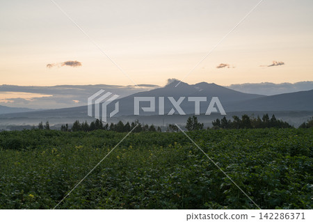 Morning fields and the silhouette of a mountain lying across them Morning fields and the silhouette of a mountain lying across them 142286371