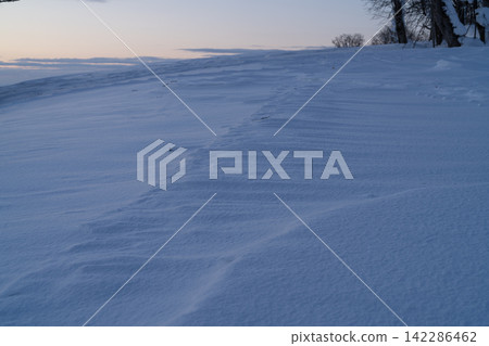 風雕琢出的白雪皚皚的山坡和樹林。 風雕琢出的白雪皚皚的山坡和樹林。 142286462
