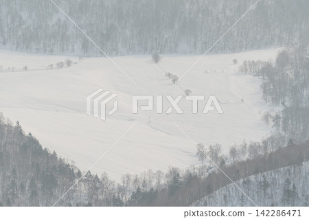 A snowfield shrouded in a blanket of white mist, dotted with scattered trees. A snowfield shrouded in a blanket of white mist, dotted with scattered trees. 142286471