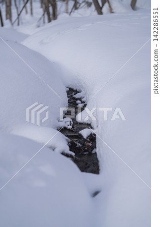 The mouth of a small stream covered in snow The mouth of a small stream covered in snow 142286551