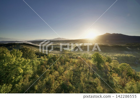 The first rays of light piercing the misty hills The first rays of light piercing the misty hills 142286555