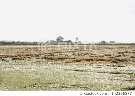Fields after harvest, when frost has fallen. Fields after harvest, when frost has fallen. 142286577